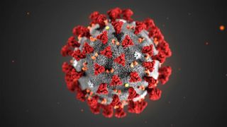 An artist's depiction of the novel coronavirus that causes the disease COVID-19.