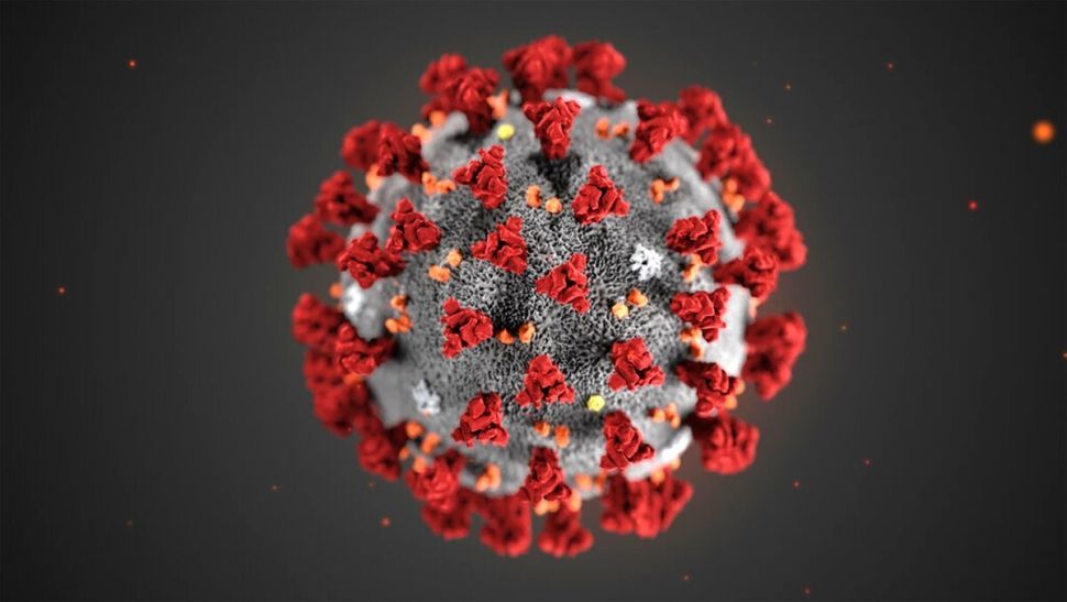 An artist&#039;s depiction of the novel coronavirus that causes the disease COVID-19.