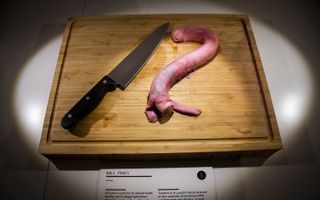 Bull penis, a menu item in China, is sometimes served in soup and is thought to have aphrodisiac properties.