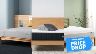Composite image of the Siena Signature Memory Foam, Allswell Hybrid and Zinus Green Tea Memory Foam mattresses, with a Tom's Guide badge overlaid saying "PRICE DROP"