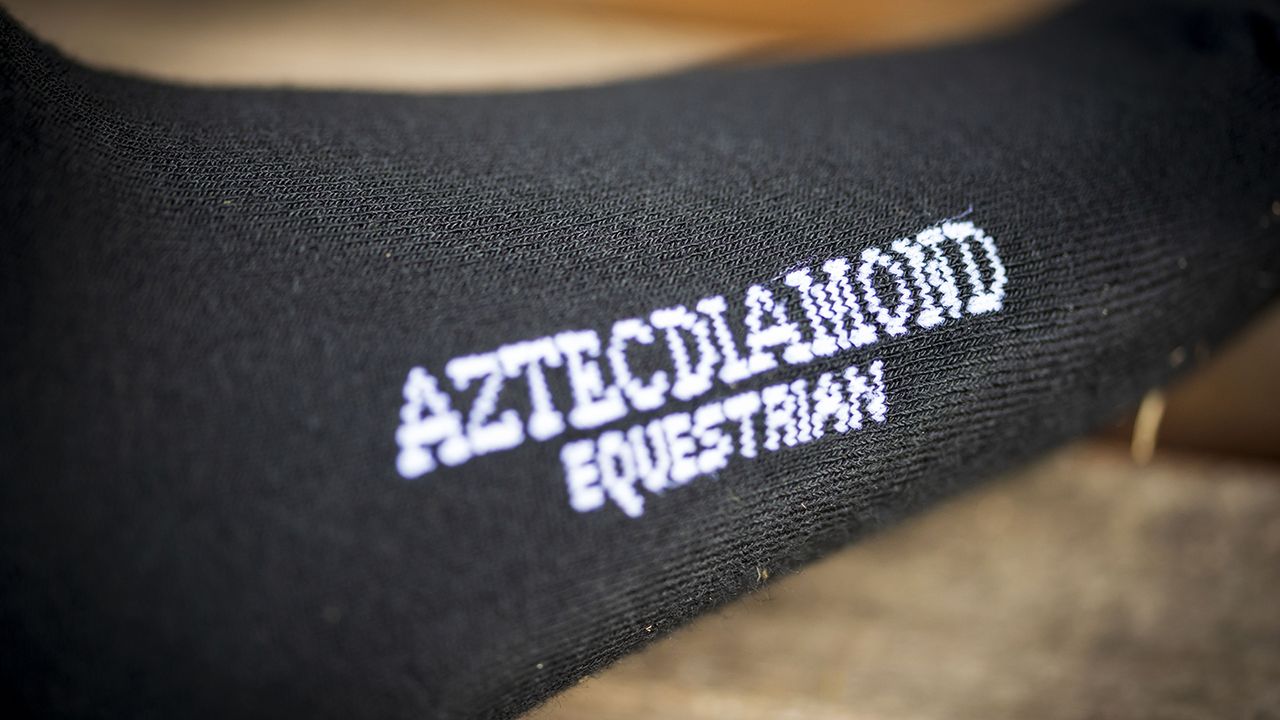 Aztec Diamond bamboo training socks review