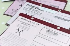 Passport.jpg