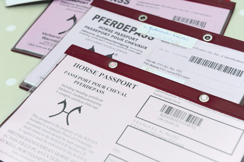 Passport.jpg