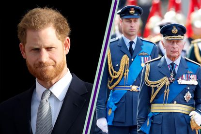 Prince Harry’s heartfelt plea - Prince Harry in a split template with Prince William and King Charles - both pictured wearing military uniforms and looking solemn 
