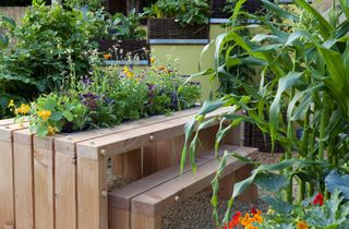 salad planted in the center of a wooden bench and seats