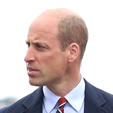 Prince William looks pensive while walking in front of service aircraft and wearing a suit with a striped tie