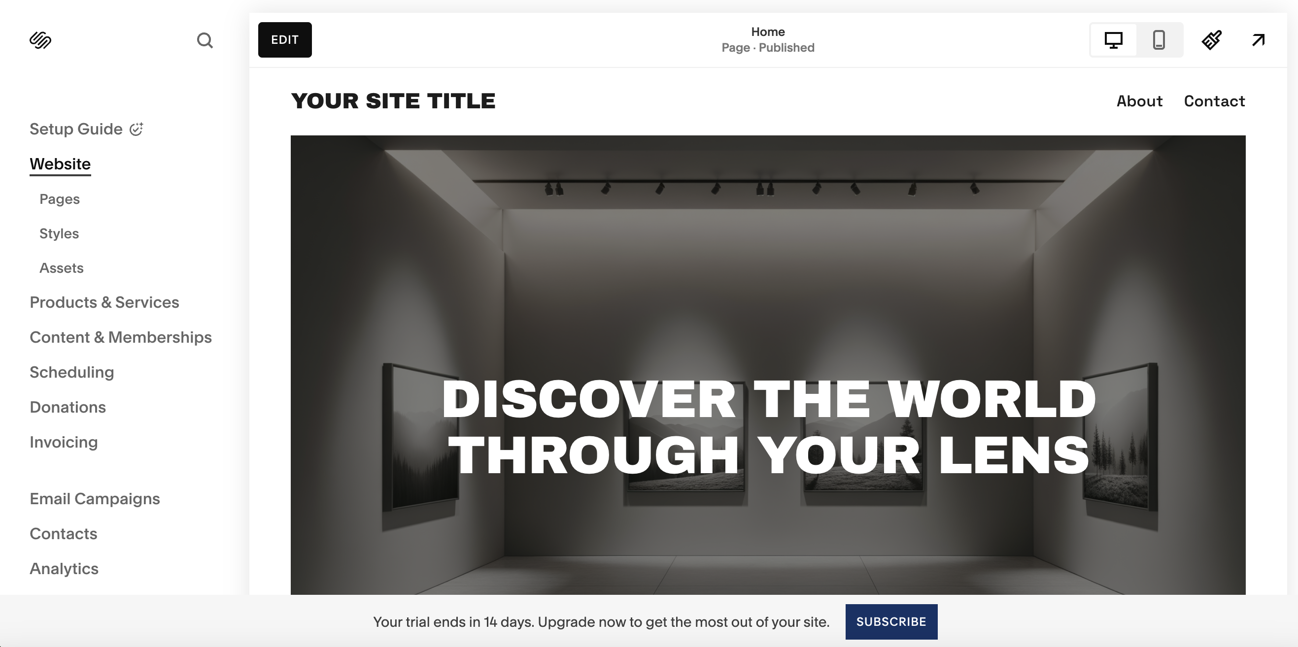 Screenshot of website being set up in Squarespace using its AI builder