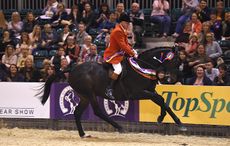 Allister Hood riding JACK THE GIANT owned by The Jackpots, Champion in the Race Horse to Riding Horse of the Year Championship during HOYS in the NEC in Warwickshire in the UK on 8th October 2016