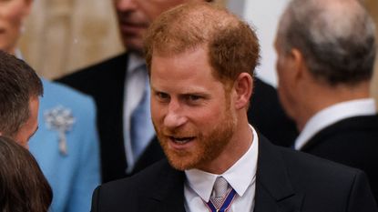Prince Harry's visa applications have caused something of a furore 