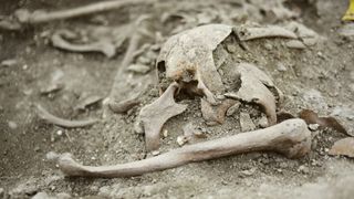 A close-up of bones in a grave