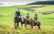 Tessa-Waugh-and-Family-142_157724342_234425732.jpg