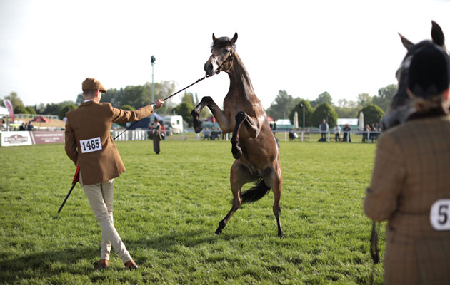 GettyImages-957249248.jpg