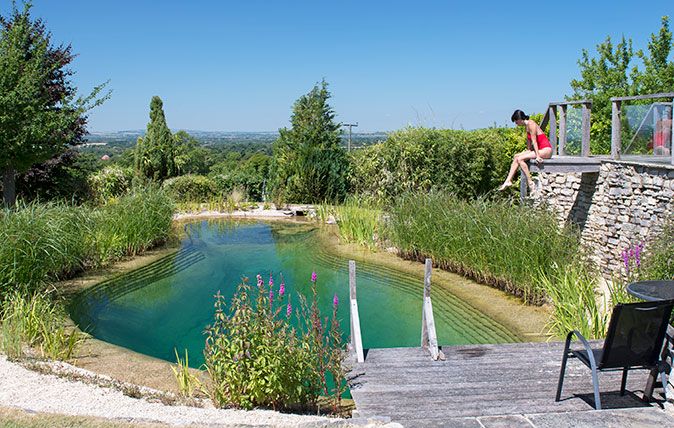 What you need to know about having a natural swimming pool in your garden