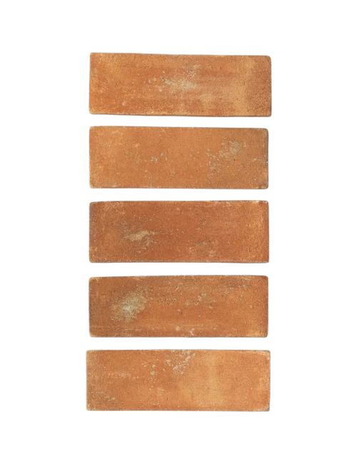 Cotto 2x6 Rectangle Tile in Fired earth