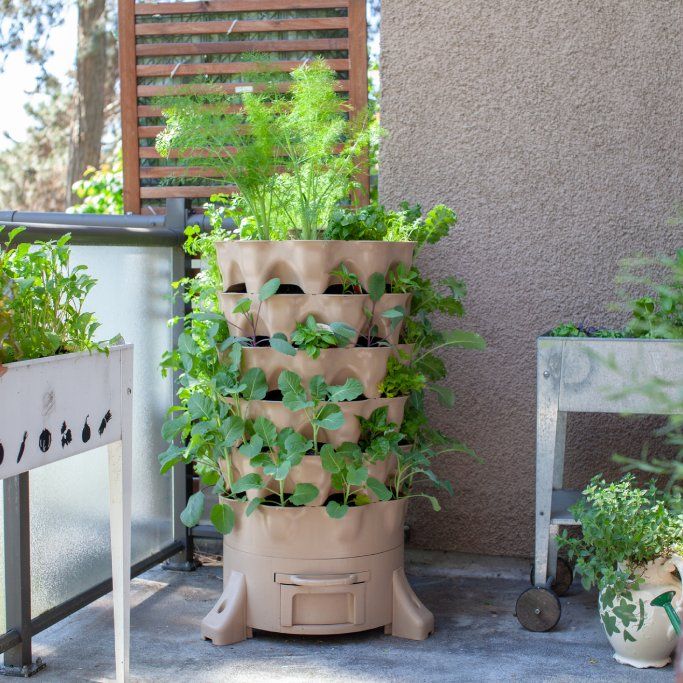 Clever Vertical Vegetable Garden Ideas For Small Spaces – 7 Ways To Save Space