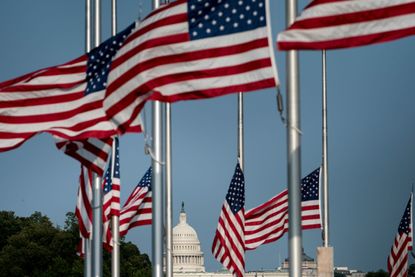 Flags fly at half mast in Washington