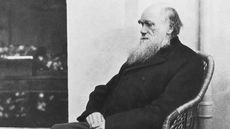 Clack-and-white photograph of Charles Darwin sitting in a chair. Darwin is old and has a long white beard.