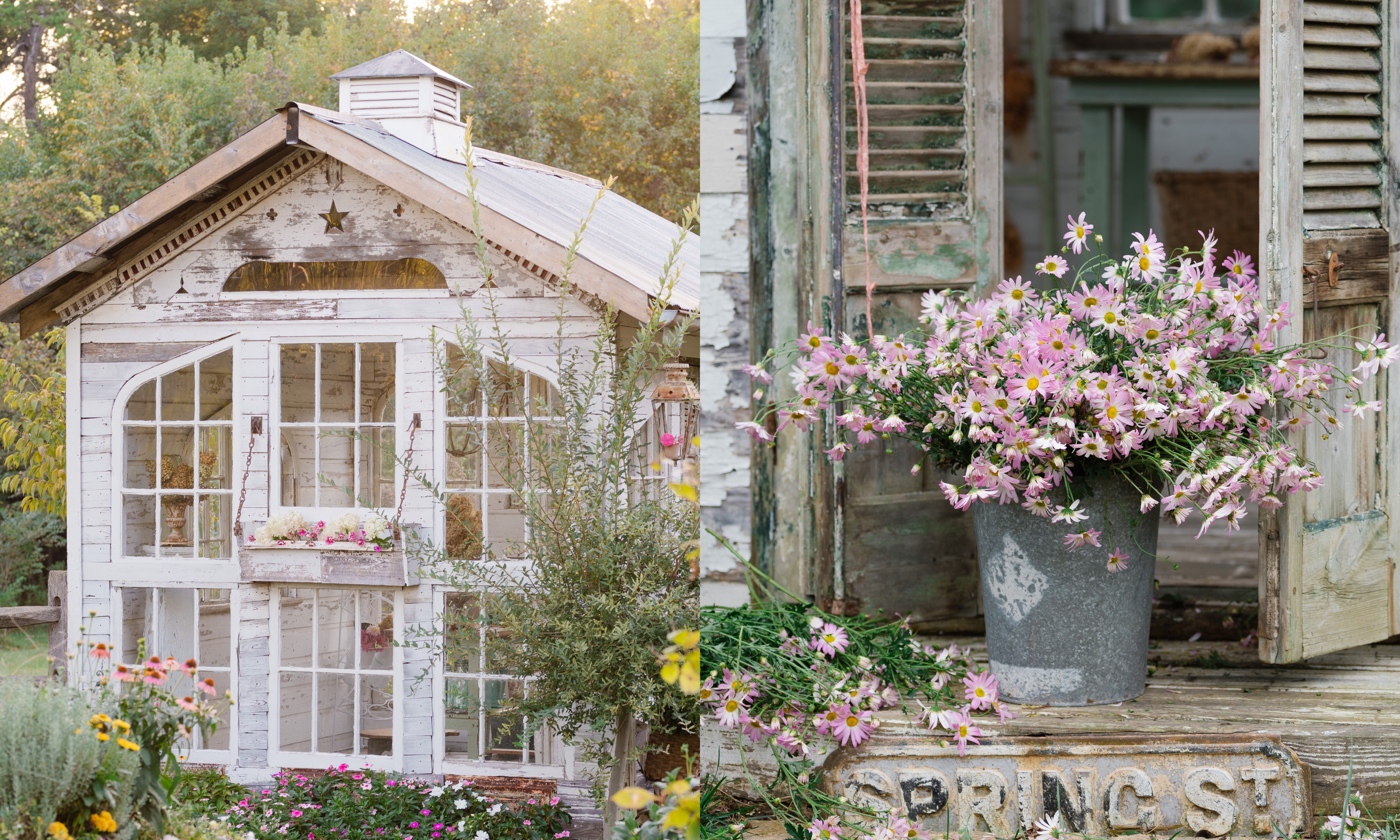 White wooden flower barn on left, with zinc bucket holding pink flowers on right