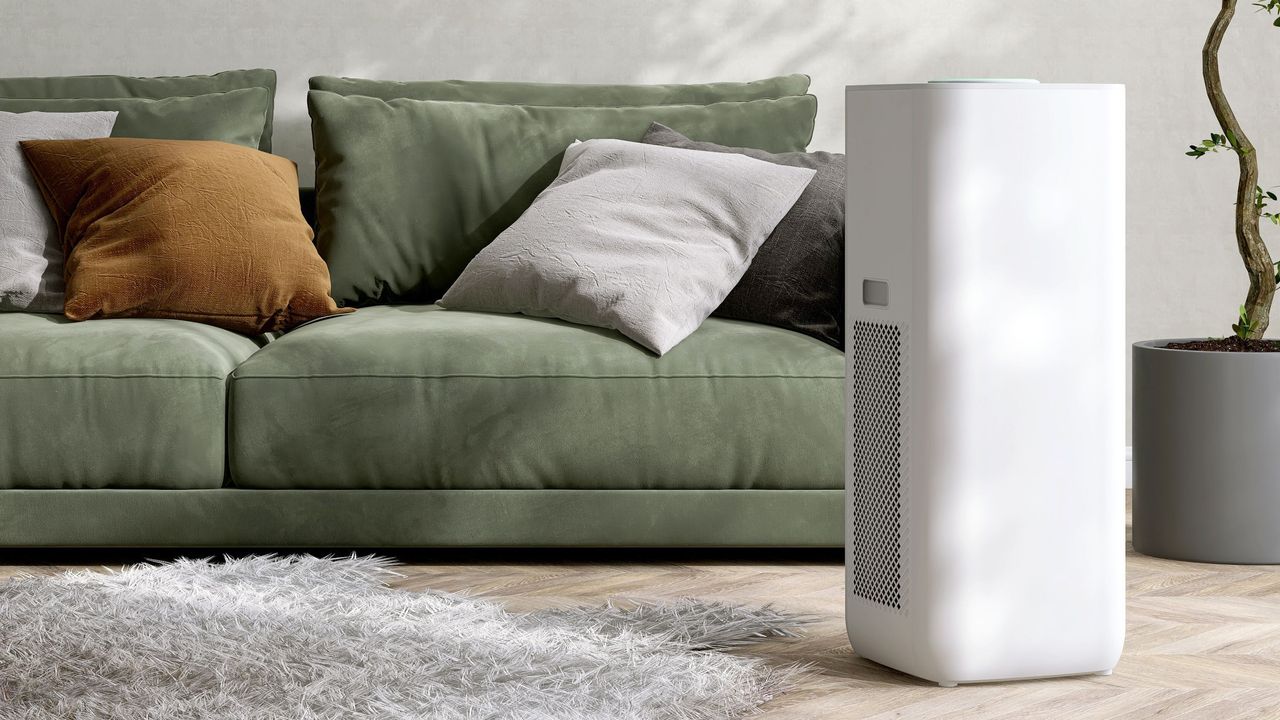 A dehumidifier on hardwood floor in front of a green low sofa