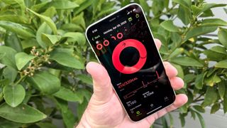move ring in the fitness app on an iphone