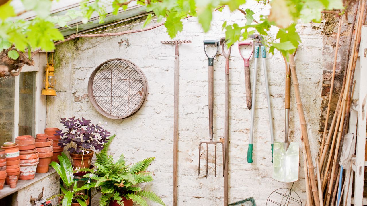 Tools hanging on shed of garden wall