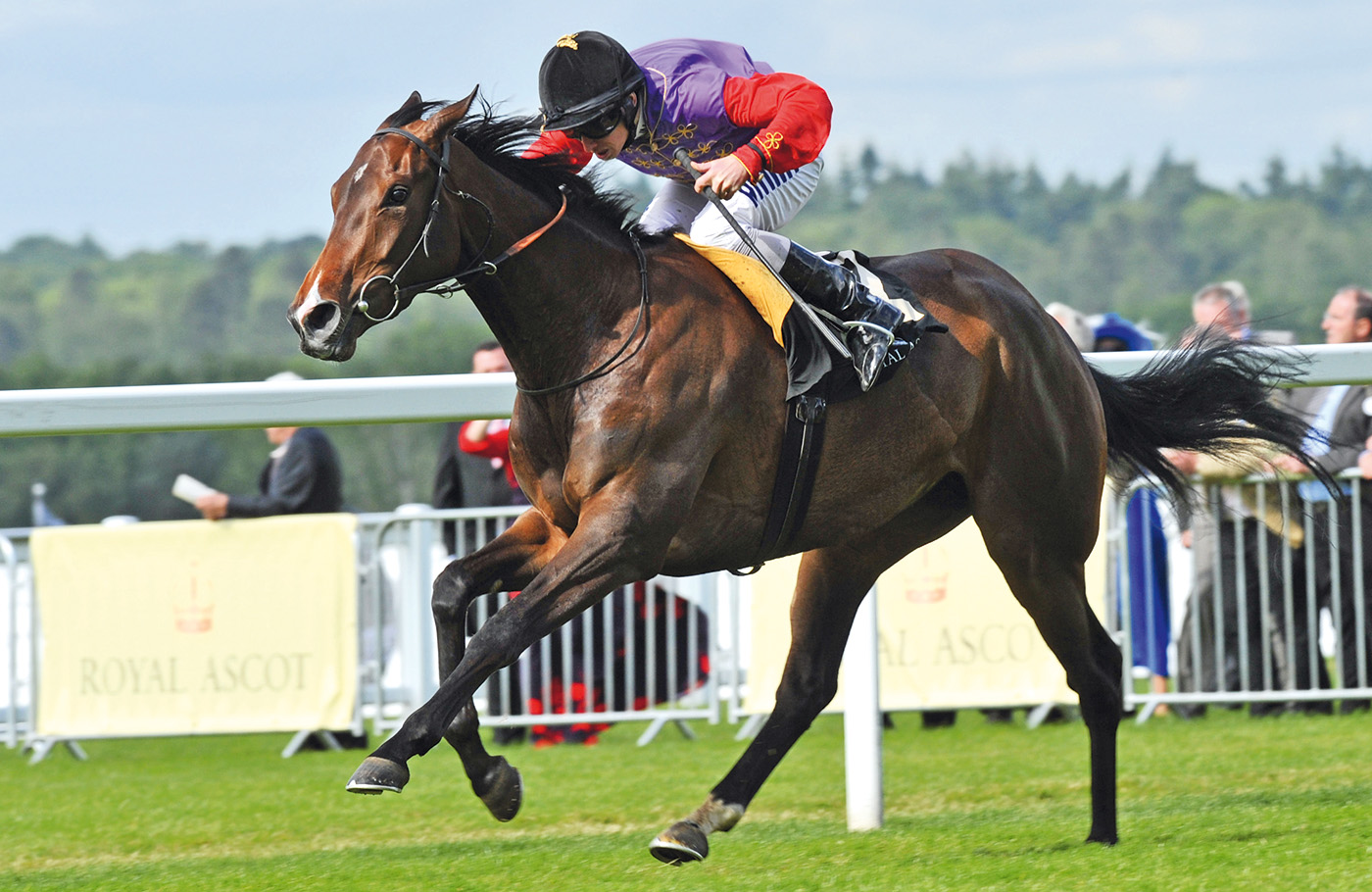 Royal Ascot 22.06.12 Race 5 Winner Estimate Ryan Moor