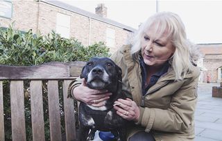 Britain's Top 100 Dogs shows Coronation Street star Sue Cleaver