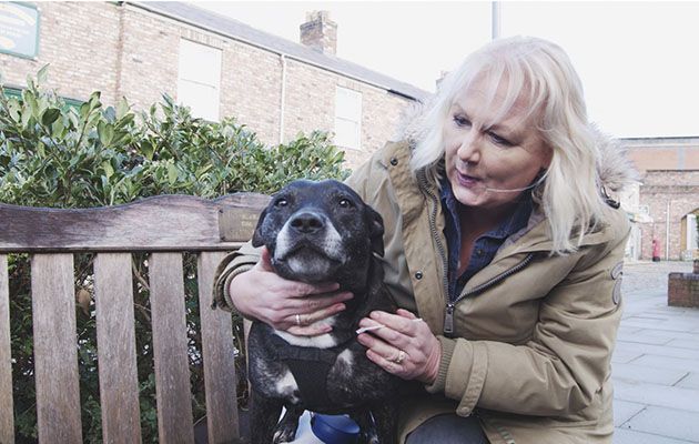 Britain&#039;s Top 100 Dogs shows Coronation Street star Sue Cleaver