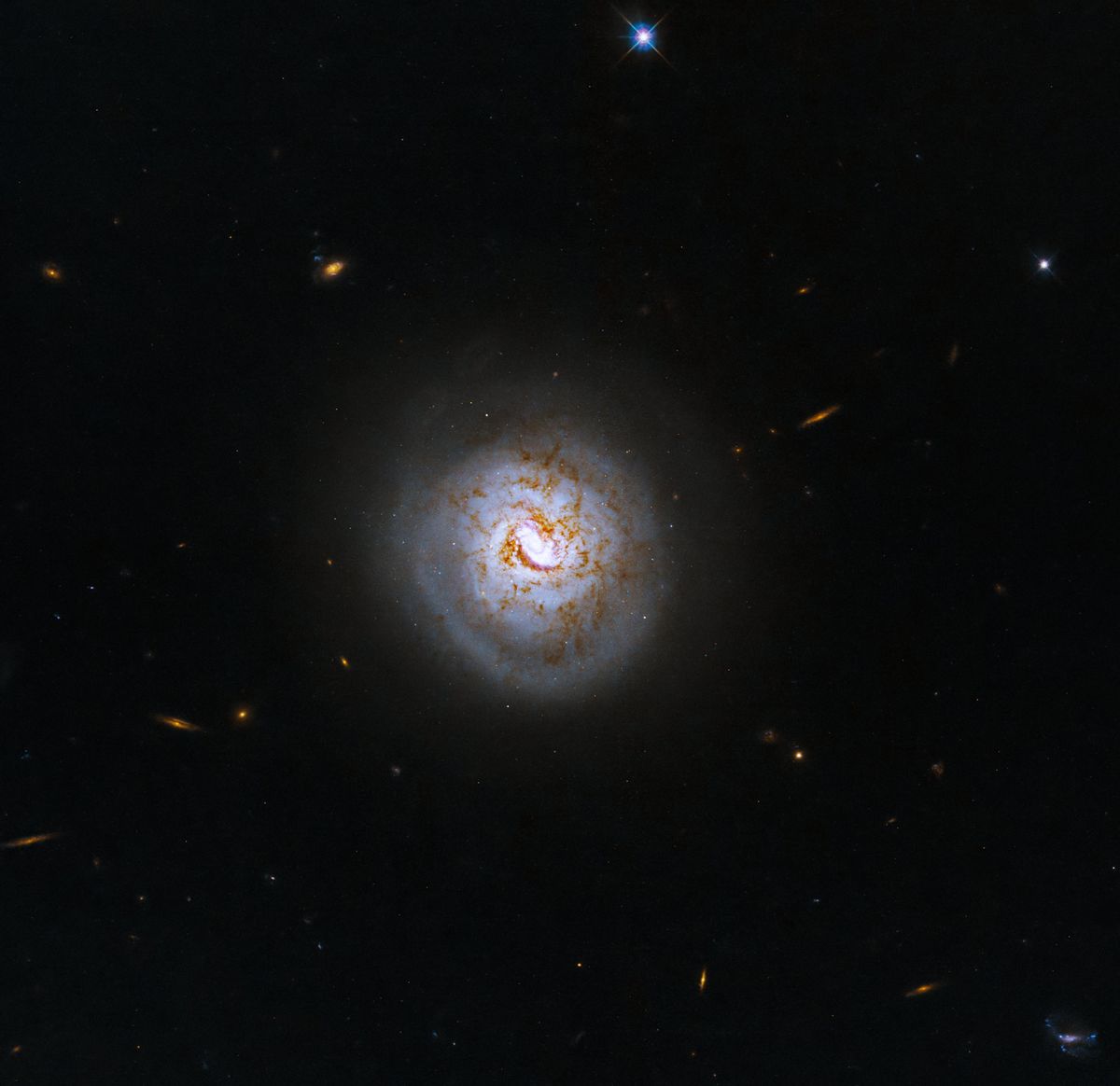 'Baseball galaxy' with a black hole heart NLFPr9N4zJPpannioNLUr7-1200-80