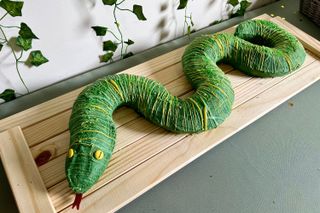 Snake cake on a table