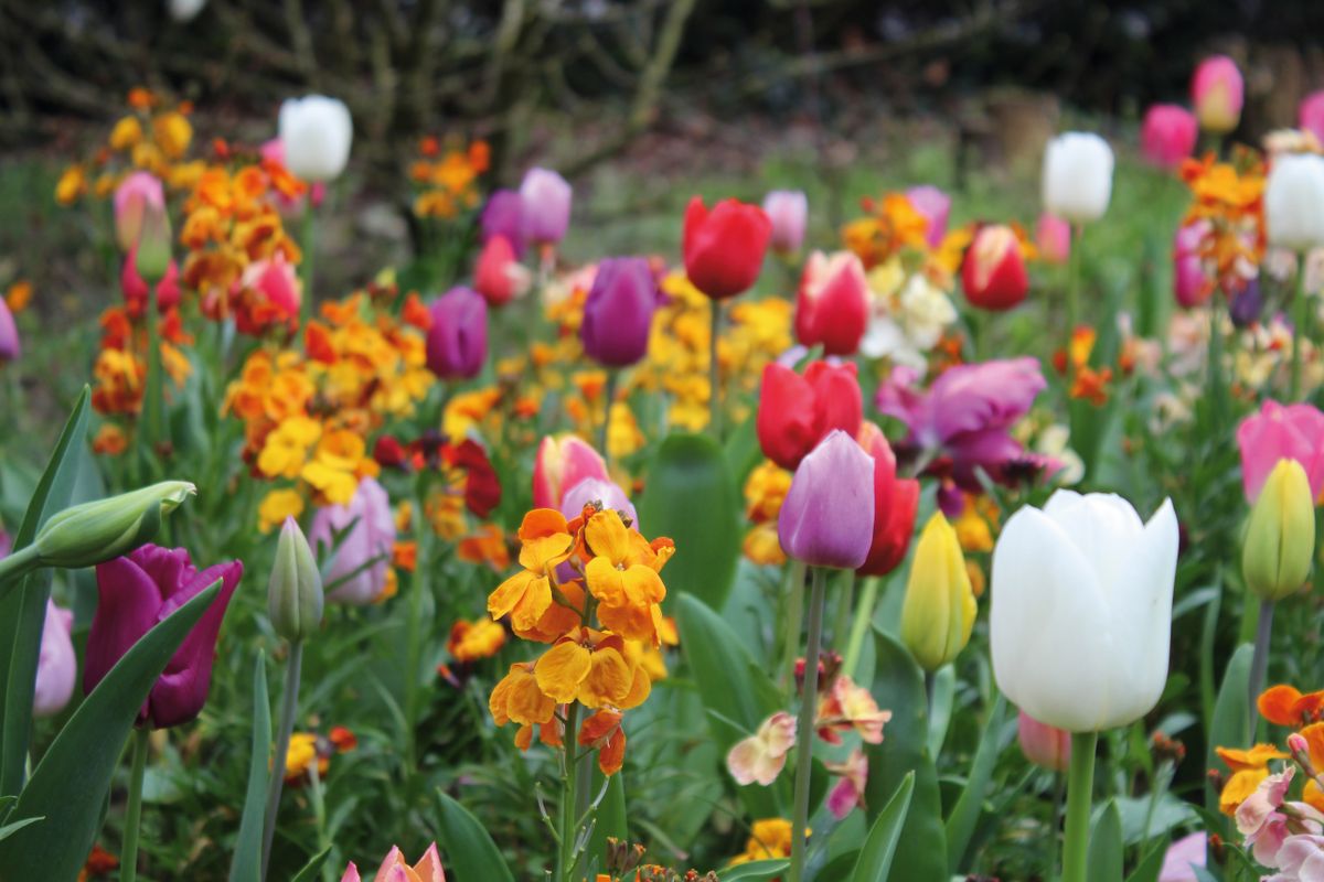 Canon EOS Rebel T100 / EOS 4000D / EOS 3000D review Digital Camera World