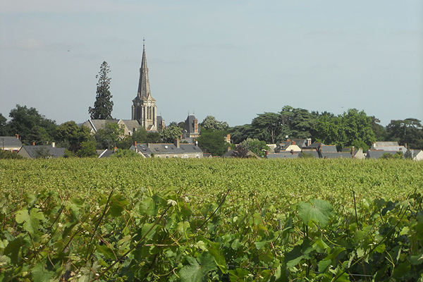 000009ad9-Savennires_vignoble_entourant_le_village.jpg
