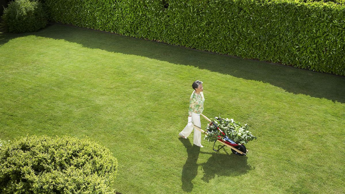 Woman mowing lawn for green lawn care