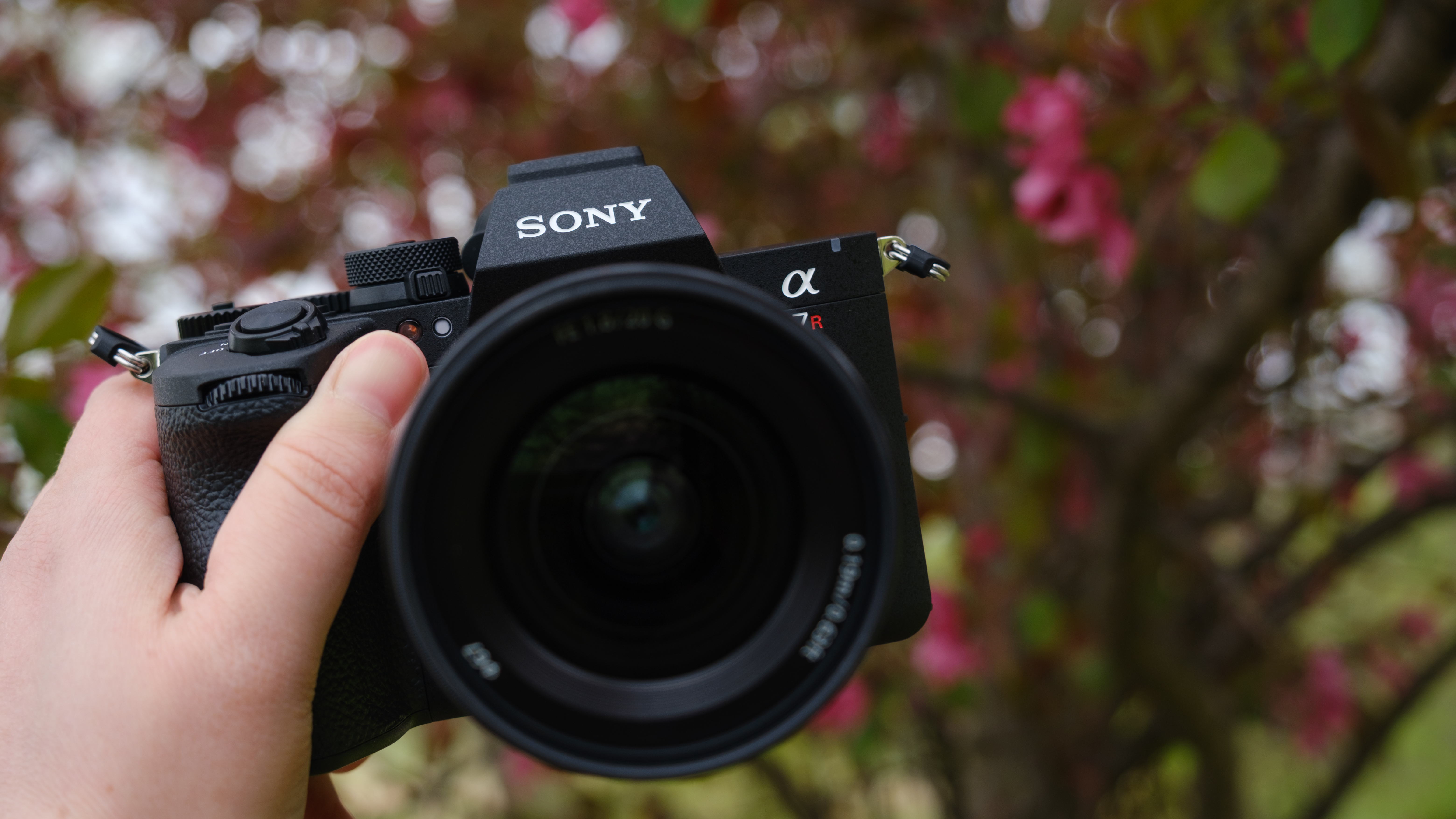 The Sony A7R VI photographed outdoors