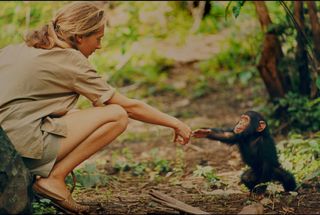Jane Goodall and infant chimpanzee Flint in Gombe, Tanzania. 