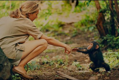 Jane Goodall and infant chimpanzee Flint in Gombe, Tanzania.