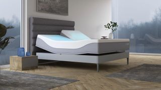 A Sleep Number ClimateCool Smart Bed