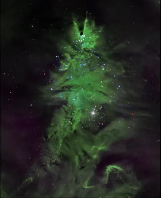 NASA space photography of the Christmas Tree Cluster