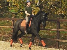 IMG_20171016_114333_249.jpg