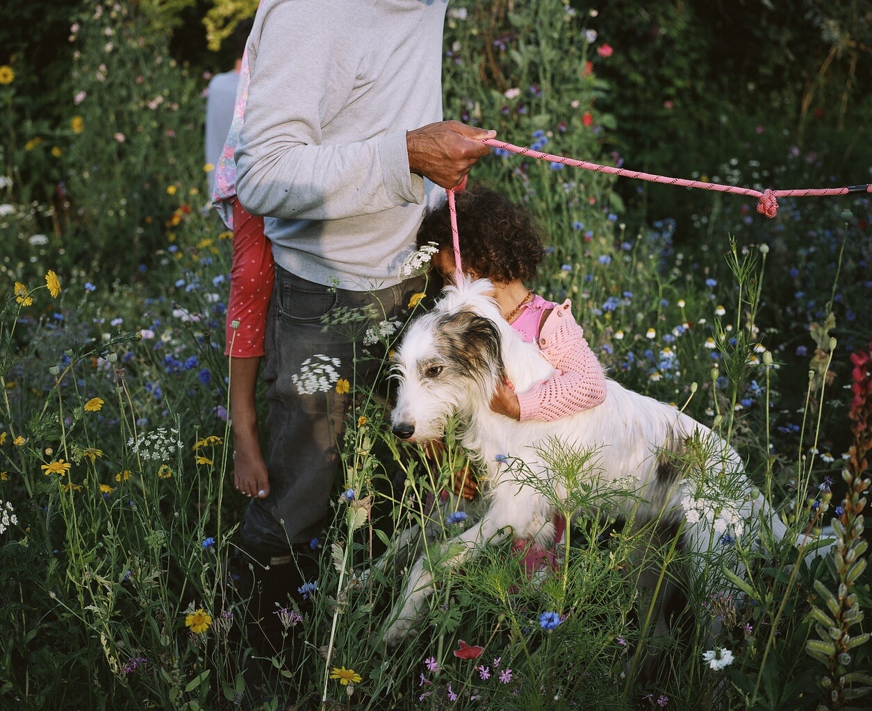 people in garden