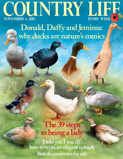 Country Life November 4 2015