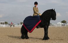 class 84 OLYMPIA SEMI FINAL HIGHLAND DALES FELLS WINNER 218 LUNESDALE DIXIE R CHRISTINA CLARE