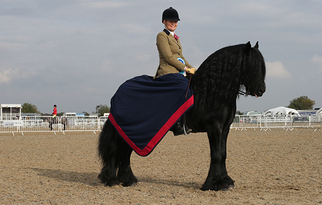 class 84 OLYMPIA SEMI FINAL HIGHLAND DALES FELLS WINNER 218 LUNESDALE DIXIE R CHRISTINA CLARE