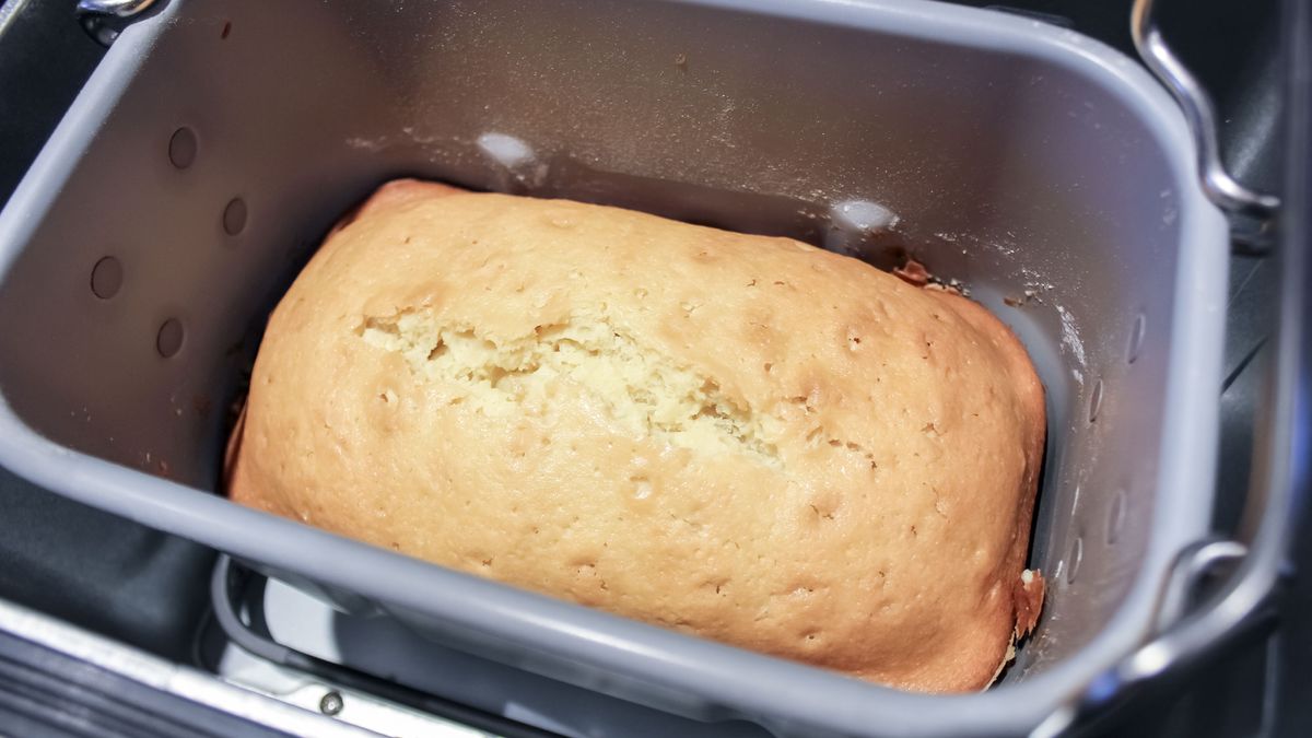 Zojirushi Virtuoso Plus pound cake