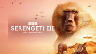 Key art for Serengeti III