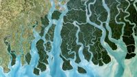 The Ganges River Delta seen from space.