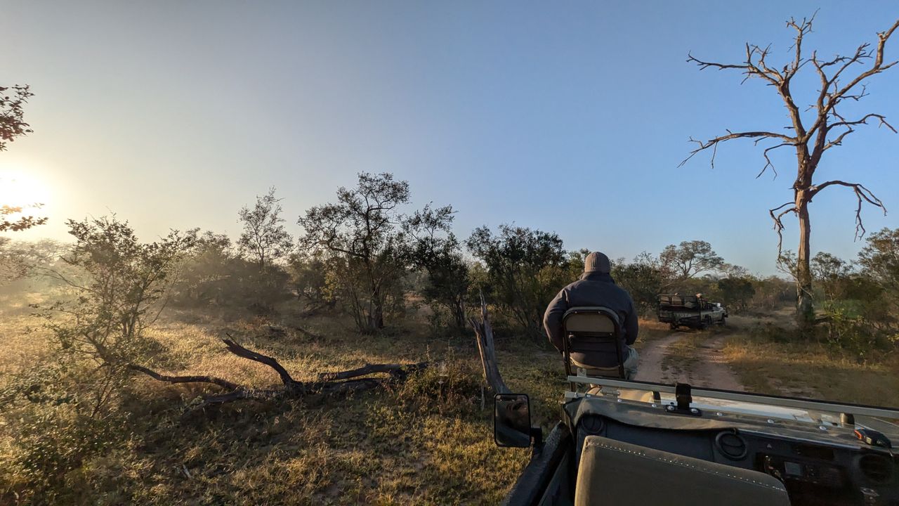 Google Pixel 8a review sample image