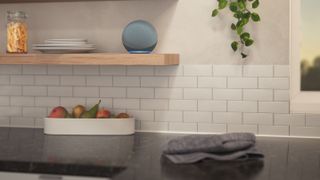 An Amazon Echo on a kitchen shelf