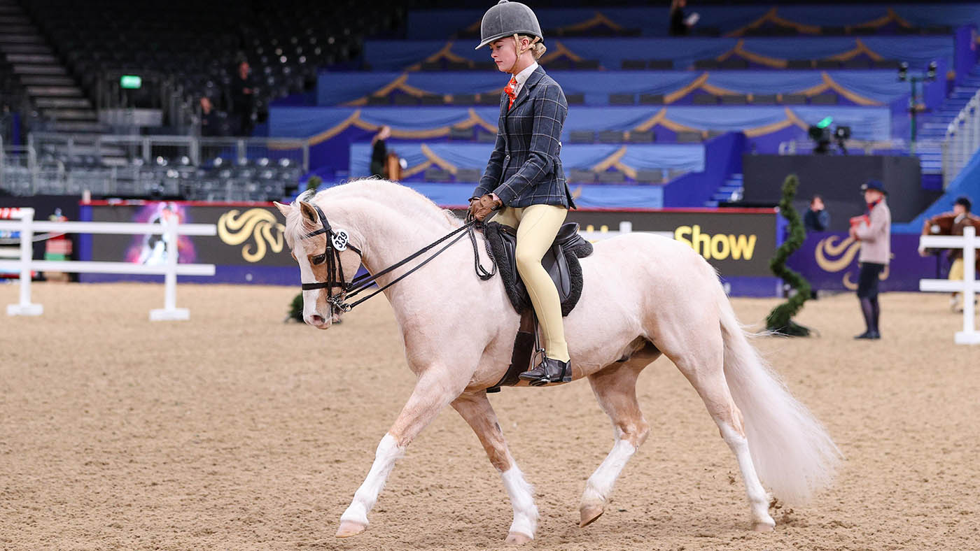 HorseNo_339_LIHS_PN24_182101