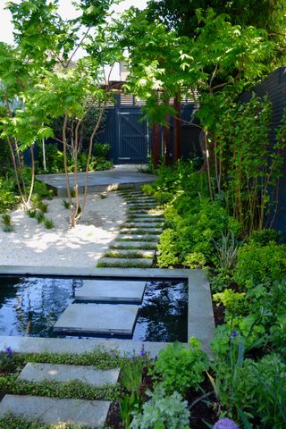 stepping stone ideas: path across pond designed by Tom Howard